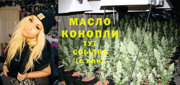 шишки Дмитров