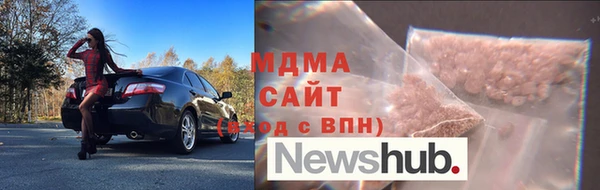 гидра Ельня