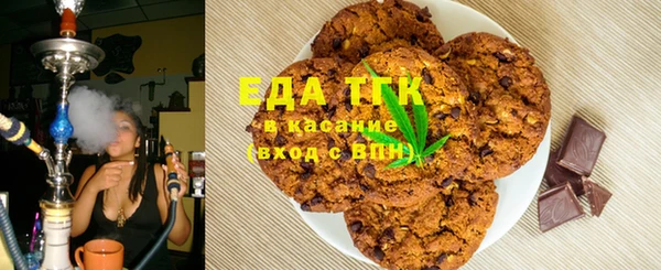 гидра Ельня