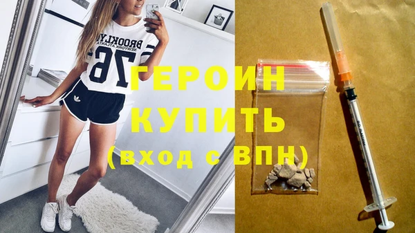 гидра Ельня