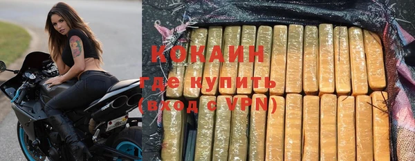 шишки Дмитров