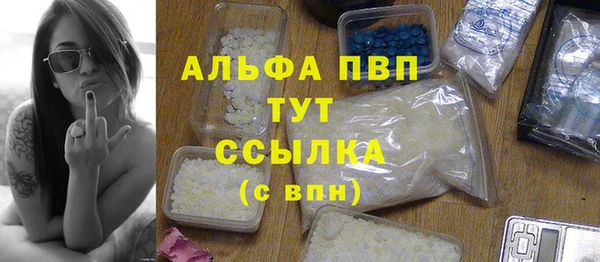 шишки Дмитров
