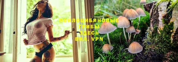 jwh Дмитриев
