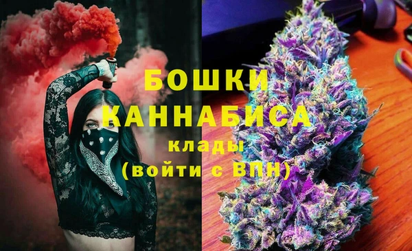 шишки Дмитров
