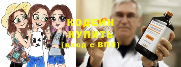 шишки Дмитров