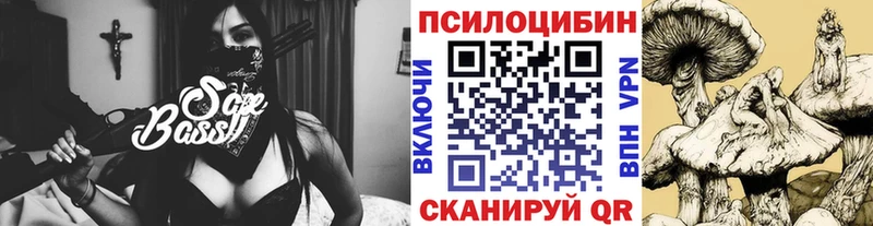 Купить  Городец  Псилоцибиновые грибы Psilocybe 